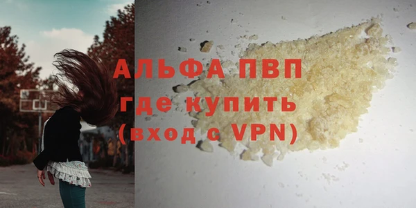 винт Дмитров