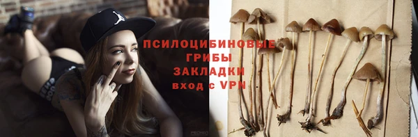 а пвп мука Гусев