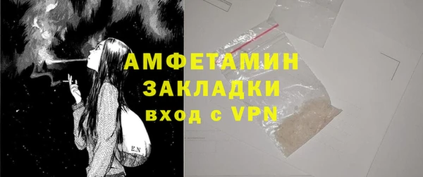 ПСИЛОЦИБИНОВЫЕ ГРИБЫ Дмитриев