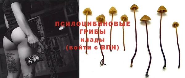 а пвп мука Гусев