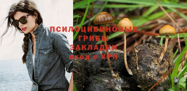 Альфа ПВП Гусь-Хрустальный