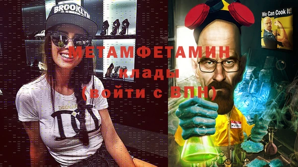 ПСИЛОЦИБИНОВЫЕ ГРИБЫ Дмитриев
