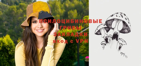 винт Дмитров