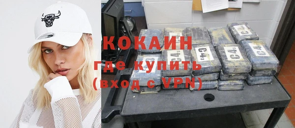 ПСИЛОЦИБИНОВЫЕ ГРИБЫ Дмитриев