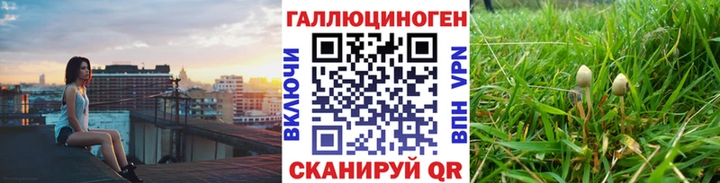 Галлюциногенные грибы Cubensis  Орлов 